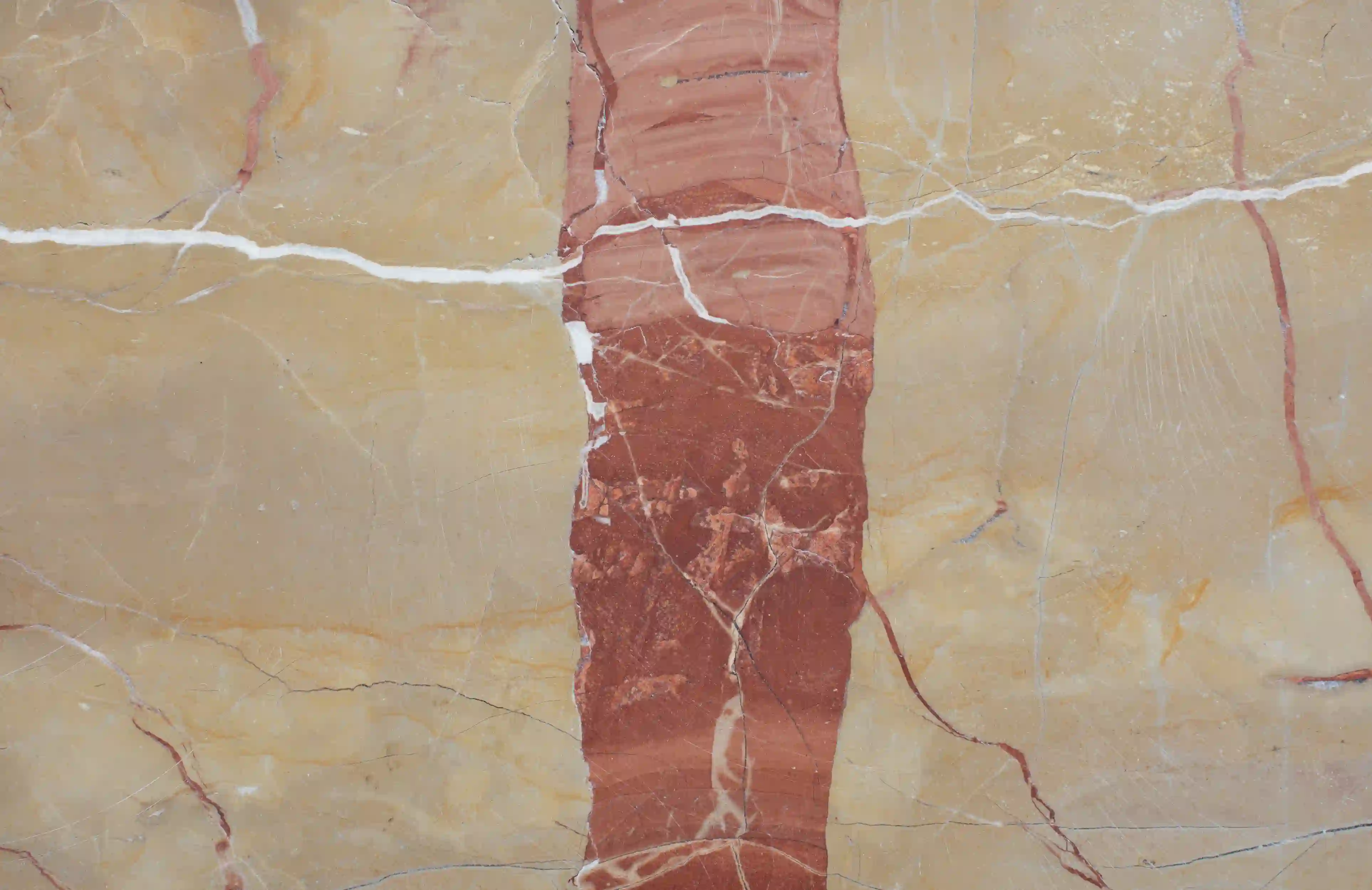 Rectified vs. Non-Rectified Tiles: What Every Homeowner Must Know Before Buying