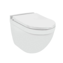 Rimless Toilets